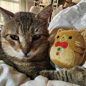 Meet your Posher, Betsy